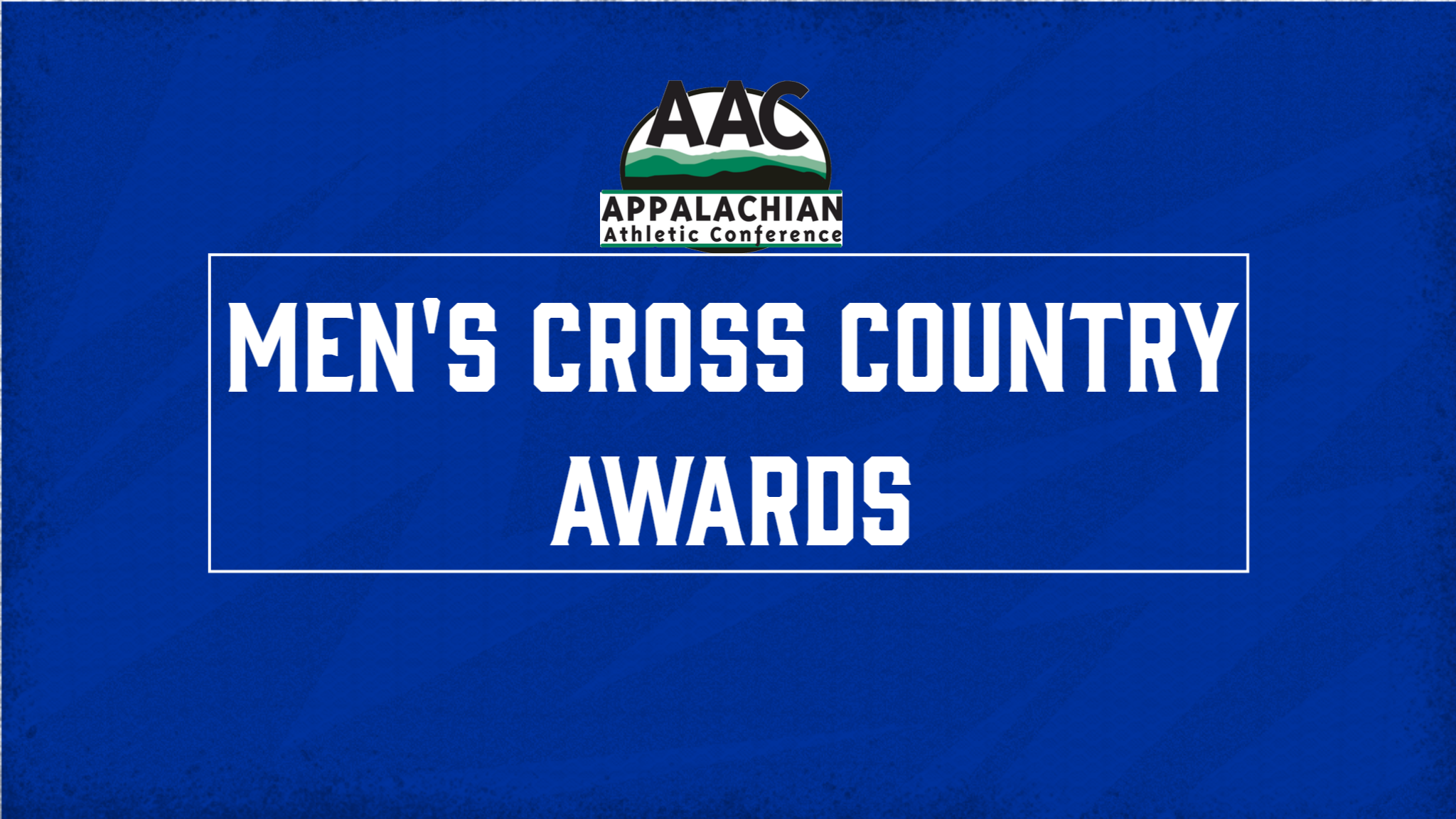 Men's Cross Country Earn Multiple AAC Awards