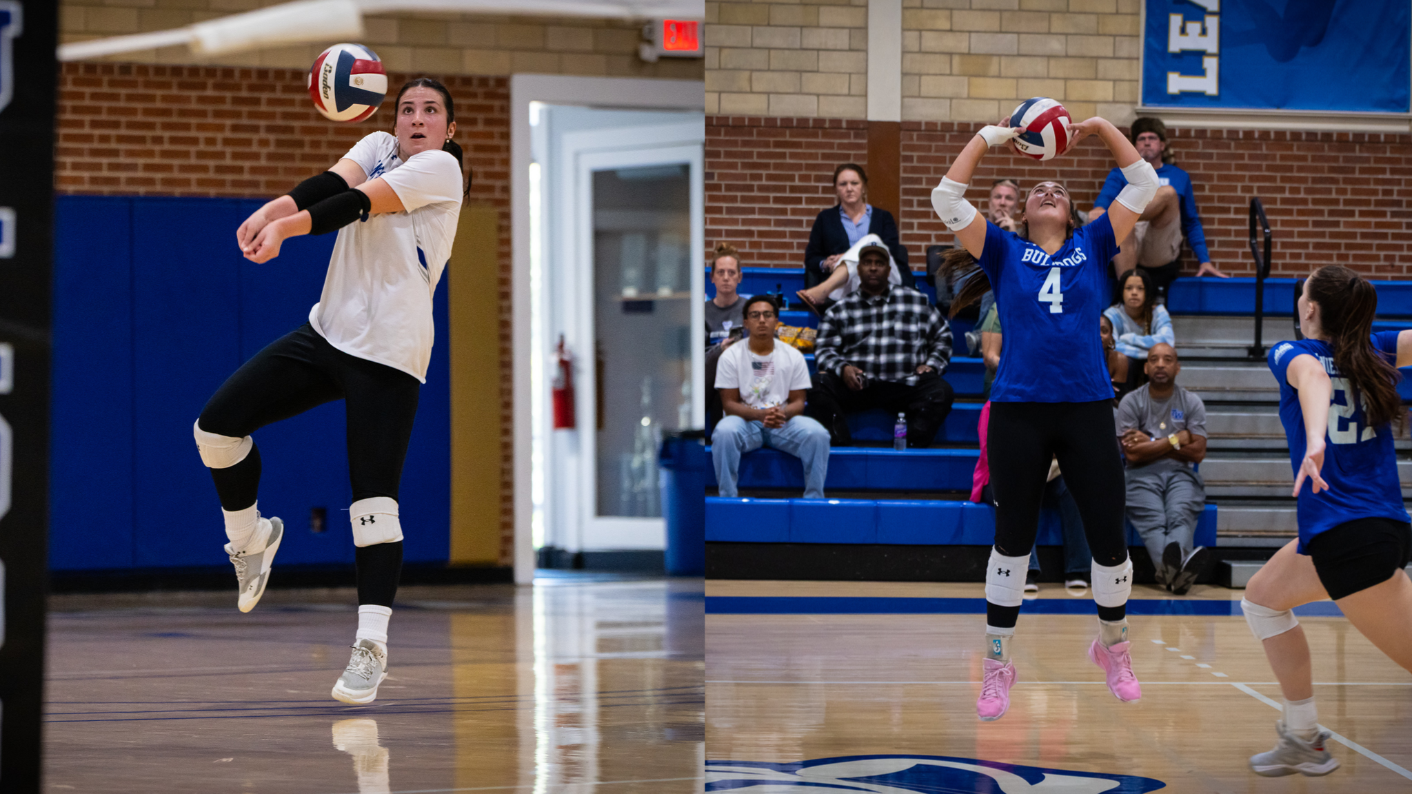Volleyball Earns Multiple AAC Awards
